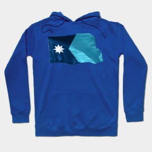 Minnesota State Flag Hoodie